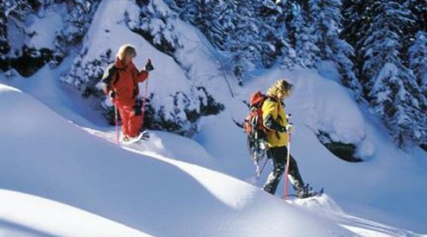 Offerta Dolomiti Super Premiere 4=3