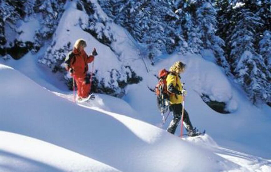 Offerta Dolomiti Super Premiere 4=3